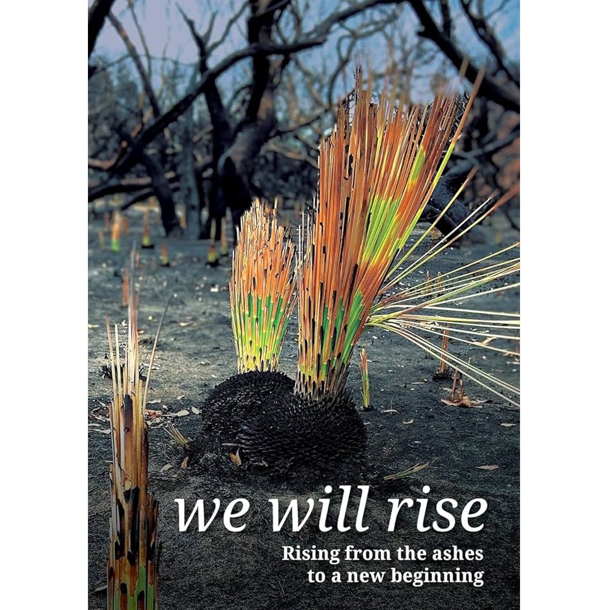 We Will Rise cover showing new growth in a fire-damaged landscape